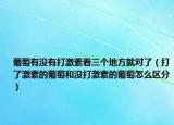 葡萄有没有打激素看三个地方就对了（打了激素的葡萄和没打激素的葡萄怎么区分）