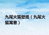 九尾火狐壁纸（九尾火狐寓意）