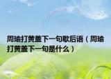 周瑜打黄盖下一句歇后语（周瑜打黄盖下一句是什么）