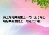 海上明月共潮生上一句什么（海上明月共潮生的上一句简介介绍）