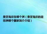 象牙海岸在哪个洲（象牙海岸的是非洲哪个国家简介介绍）