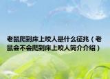 老鼠爬到床上咬人是什么征兆（老鼠会不会爬到床上咬人简介介绍）