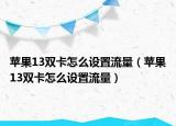 苹果13双卡怎么设置流量（苹果13双卡怎么设置流量）