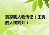 黄家驹人物传记（王驹的人物简介）