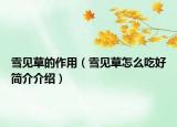 雪见草的作用（雪见草怎么吃好简介介绍）
