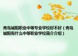 青岛城阳职业中等专业学校好不好（青岛城阳有什么中等职业学校简介介绍）