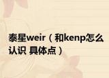 泰星weir（和kenp怎么认识 具体点）