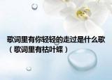 歌词里有你轻轻的走过是什么歌（歌词里有枯叶蝶）