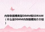 内存条插槽类型DIMM和SDRAM（什么是DIMM内存插槽简介介绍）