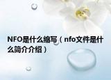 NFO是什么缩写（nfo文件是什么简介介绍）