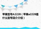 苹果型号A2228（苹果a2228是什么型号简介介绍）