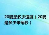 20码是多少速度（20码是多少米每秒）
