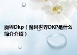 魔兽Dkp（魔兽世界DKP是什么简介介绍）