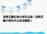 洛克王国红角小诺怎么捉（洛克王国小荷为什么无法捕捉）
