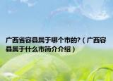 广西省容县属于哪个市的?（广西容县属于什么市简介介绍）