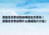 湿地生态系统包括哪些生态系统（湿地生态系统有什么组成简介介绍）