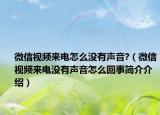 微信视频来电怎么没有声音?（微信视频来电没有声音怎么回事简介介绍）