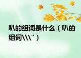 叭的组词是什么（叭的组词\