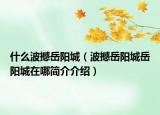 什么波撼岳阳城（波撼岳阳城岳阳城在哪简介介绍）