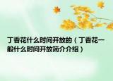 丁香花什么时间开放的（丁香花一般什么时间开放简介介绍）