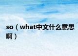 so（what中文什么意思啊）