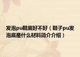发泡pu鞋底好不好（鞋子pu发泡底是什么材料简介介绍）