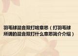 羽毛球混合双打啥意思（打羽毛球所谓的混合双打什么意思简介介绍）