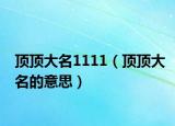 顶顶大名1111（顶顶大名的意思）