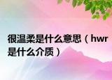 很温柔是什么意思（hwr是什么介质）