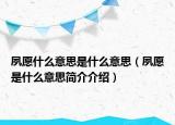 夙愿什么意思是什么意思（夙愿是什么意思简介介绍）