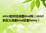 strict的对应词是kind吗（strict的反义词是kind还是funny）