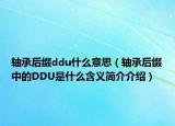 轴承后缀ddu什么意思（轴承后缀中的DDU是什么含义简介介绍）