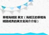 草帽海贼团 英文（海贼王的草帽海贼团成员的英文名简介介绍）