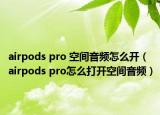 airpods pro 空间音频怎么开（airpods pro怎么打开空间音频）