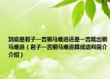 到底是君子一言驷马难追还是一言既出驷马难追（君子一言驷马难追算成语吗简介介绍）