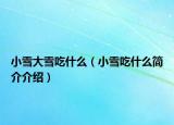小雪大雪吃什么（小雪吃什么简介介绍）