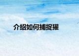 介绍如何捕捉獾