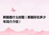 新朝是什么时期（新朝存在多少年简介介绍）