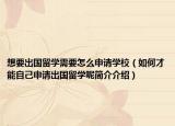 想要出国留学需要怎么申请学校（如何才能自己申请出国留学呢简介介绍）