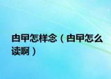 甴曱怎样念（甴曱怎么读啊）
