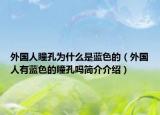外国人瞳孔为什么是蓝色的（外国人有蓝色的瞳孔吗简介介绍）