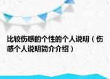 比较伤感的个性的个人说明（伤感个人说明简介介绍）