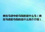 蛛丝马迹中的马指的是什么马（蛛丝马迹的马指的是什么简介介绍）