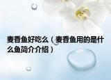 麦香鱼好吃么（麦香鱼用的是什么鱼简介介绍）
