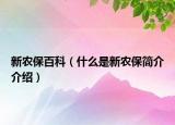 新农保百科（什么是新农保简介介绍）