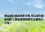 紫钻成长值达到多少时,可以成为紫钻6级?（紫钻等级经验怎么看简介介绍）