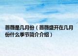 蔷薇是几月份（蔷薇盛开在几月份什么季节简介介绍）