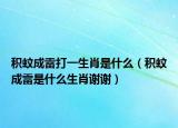 积蚊成雷打一生肖是什么（积蚊成雷是什么生肖谢谢）