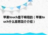 苹果touch是干嘛用的（苹果touch什么意思简介介绍）