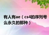 有人有ae（cs4的序列号么永久的那种）